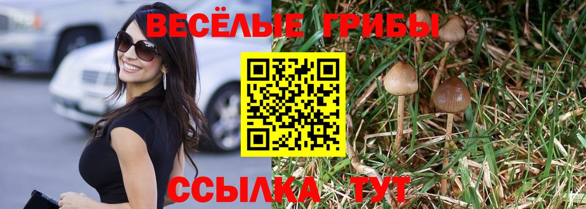 Галлюциногенные грибы Cubensis Великий Новгород