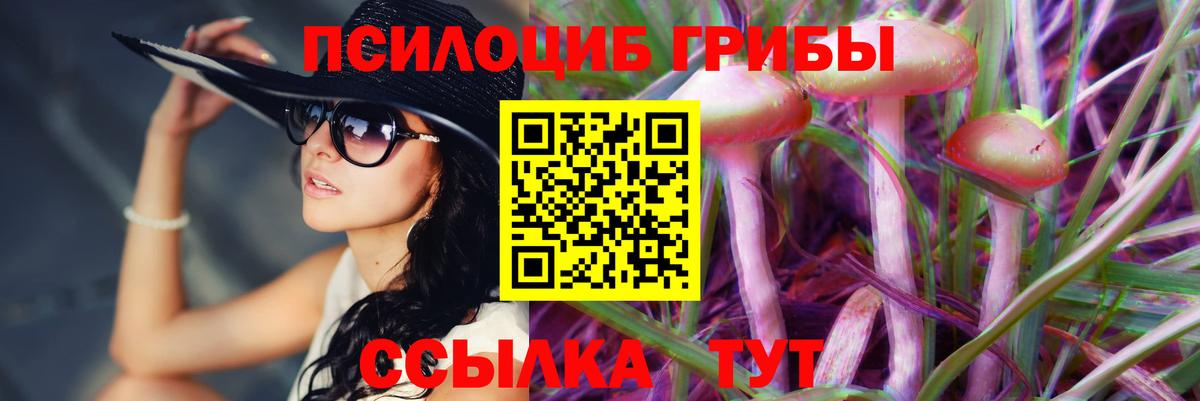 Псилоцибиновые грибы MAGIC MUSHROOMS  Вход с VPN  Великий Новгород 